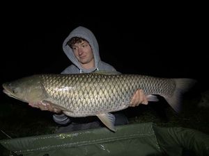 Grass Carp