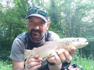 Brown Trout