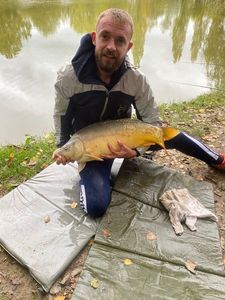 Mirror Carp