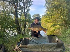 Mirror Carp