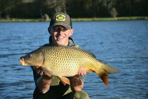 Common Carp