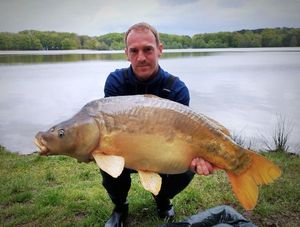 Mirror Carp