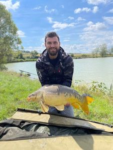 Mirror Carp