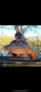 Mirror Carp