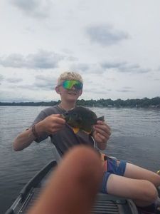 Pumpkinseed
