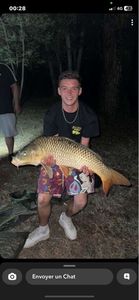 Common Carp