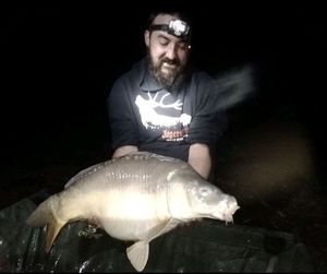 Mirror Carp