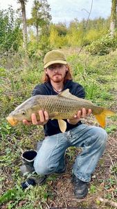Common Carp