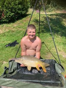 Mirror Carp