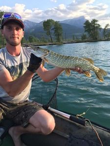 Northern Pike