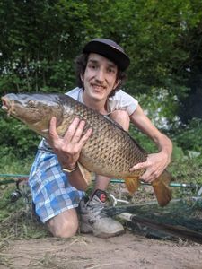 Common Carp