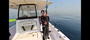 Cobia