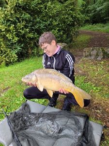 Mirror Carp