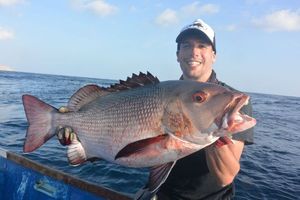 Two-spot Red Snapper