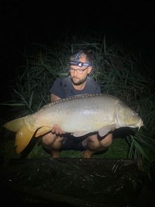 Mirror Carp