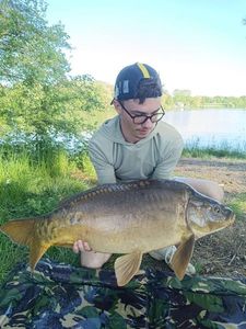 Mirror Carp