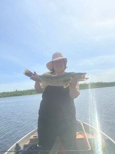 Walleye