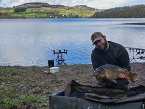 Common Carp
