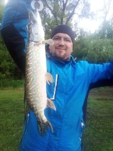 Northern Pike