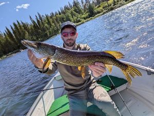 Northern Pike