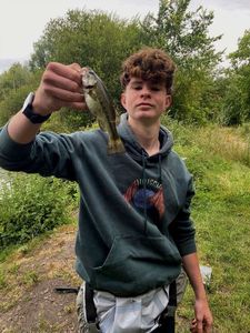 Largemouth Bass