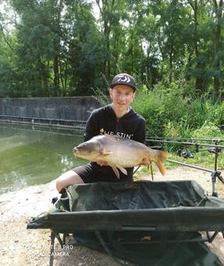 Mirror Carp