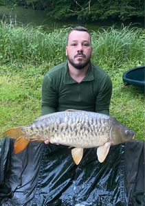Mirror Carp