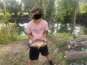 Crucian Carp