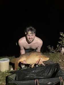 Leather Carp