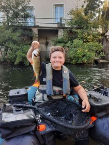 European Perch
