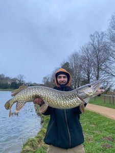 Northern Pike