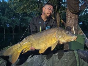 Mirror Carp