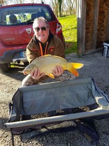 Mirror Carp