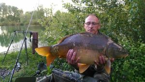 Mirror Carp