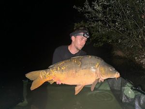 Mirror Carp