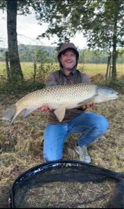 Grass Carp