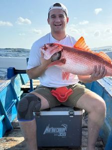 Red Snapper