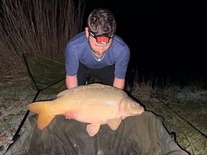 Mirror Carp