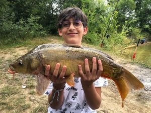 Mirror Carp