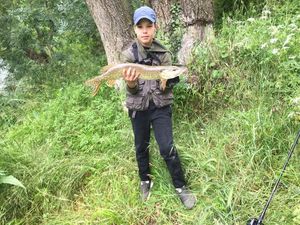 Northern Pike