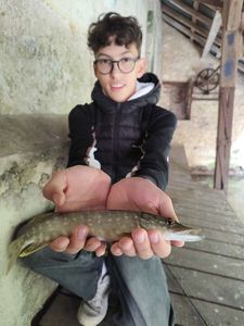 Northern Pike