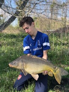Mirror Carp