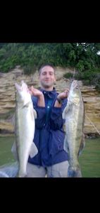 Zander