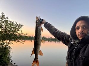 Northern Pike