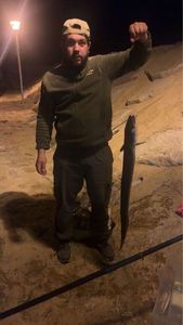 Conger