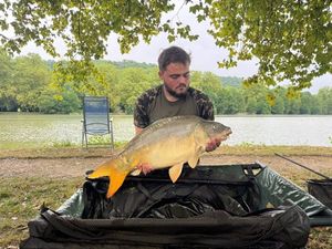 Mirror Carp