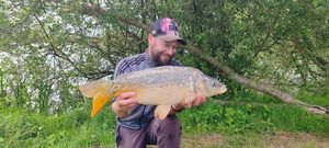 Mirror Carp