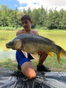 Mirror Carp