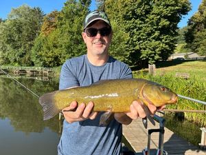 Tench