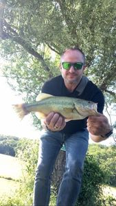 Largemouth Bass
